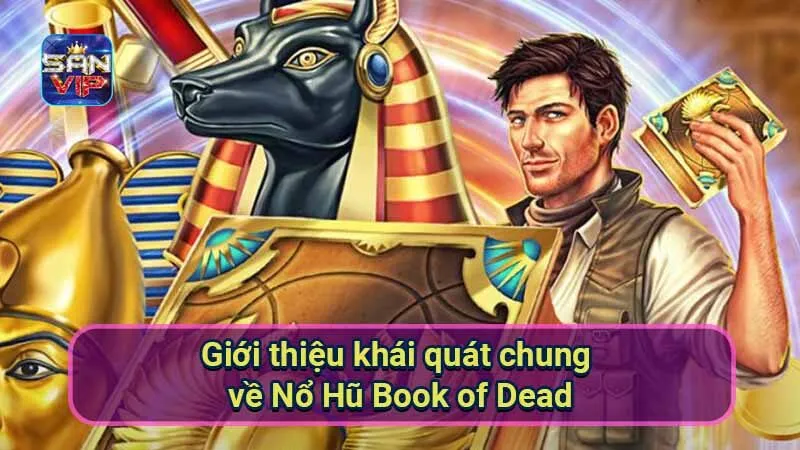 Nổ Hũ Book of Dead - Khám Phá Thế Giới Huyền Bí Của Trò Chơi 5 gioi-thieu-khai-quat-chung-ve-no-hu-book-of-dead