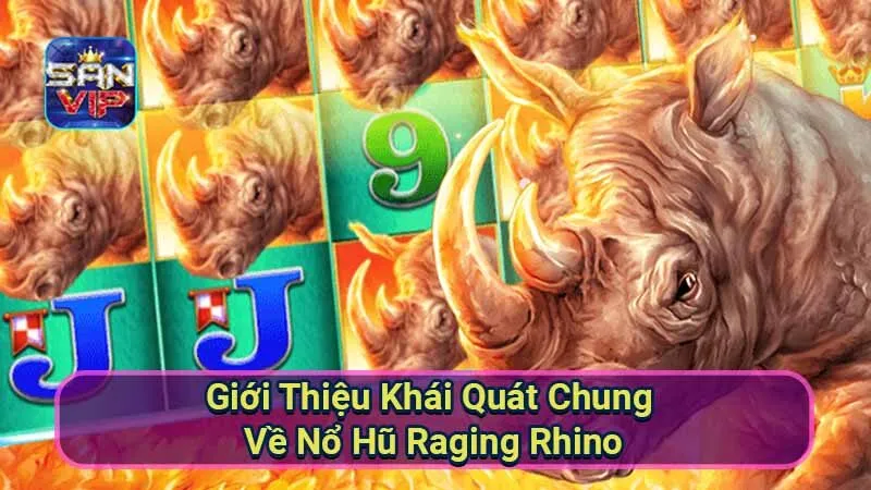 Nổ Hũ Raging Rhino - Trải Nghiệm Phiêu Lưu Hoang Dã Hấp Dẫn 5 gioi-thieu-khai-quat-chung-ve-no-hu-raging-rhino